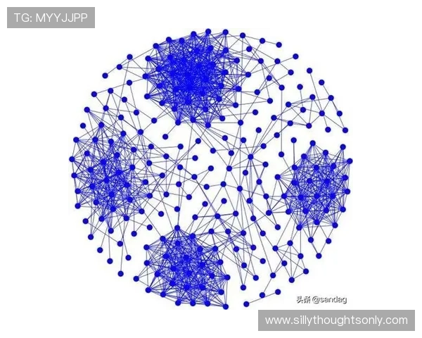 欧博网络维护策略：应对复杂网络环境的全面优化与风险控制措施